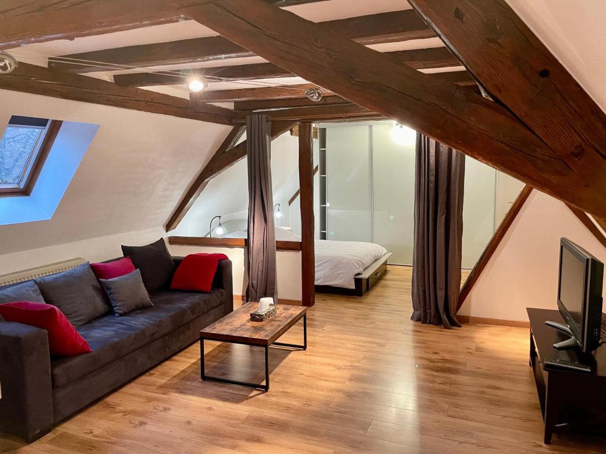 Le Petit Linck - Typique Au Coeur De Colmar Lägenhet Exteriör bild